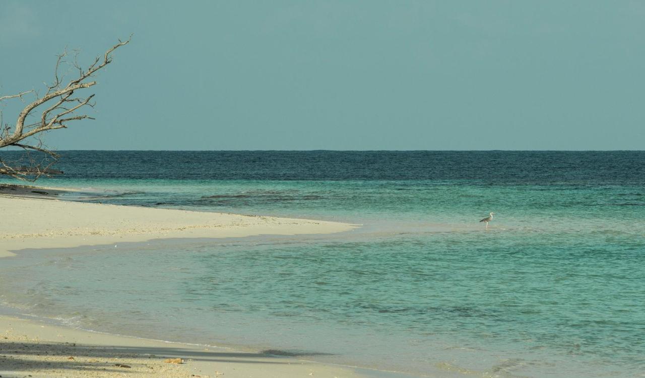 Four Seasons Resort Seychelles At Desroches Island Exterior foto