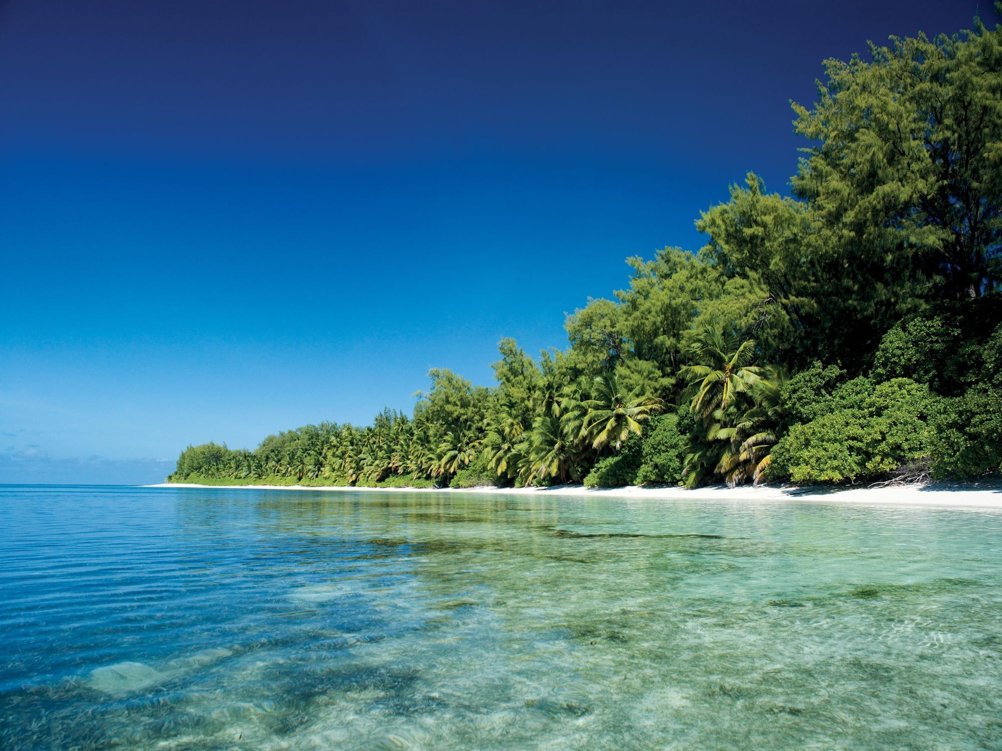 Four Seasons Resort Seychelles At Desroches Island Exterior foto
